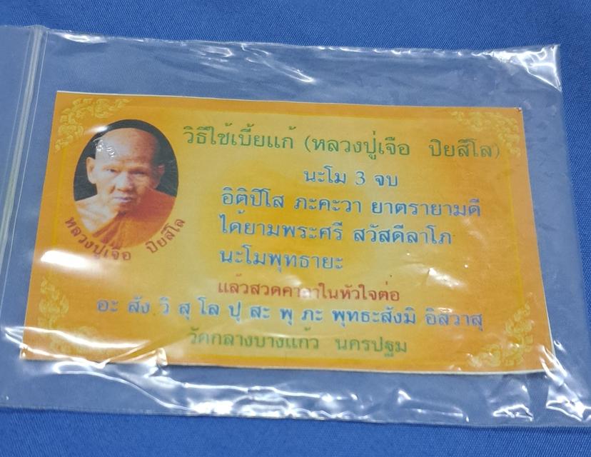 เบี้ยแก้ จูบหลังดำ หลวงปู่เจือวัดกลางบางแก้ว ยุคกลางของท่าน 6