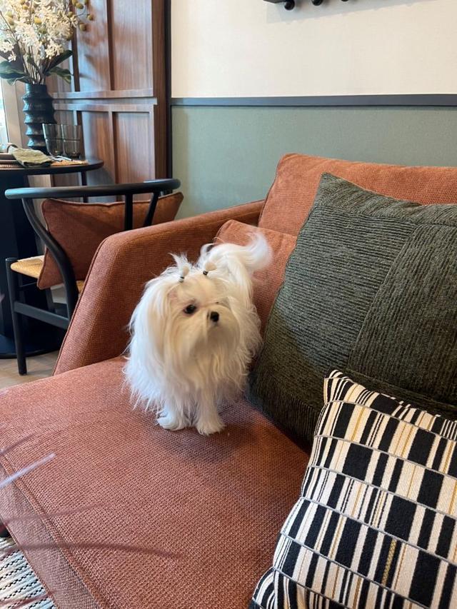 ขายดาวน์คอนโด ดิ ออริจิ้น พหลโยธิน 57 ชั้น 3 ห้องมุม เลี้ยงสัตว์ได้ ใกล้รถไฟฟ้าสายสีเขียว สถานี พหลโยธิน 59 4