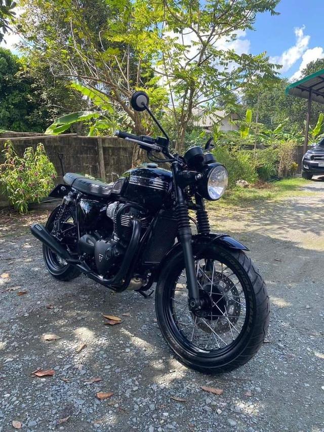 Triumph Bonneville T100 2