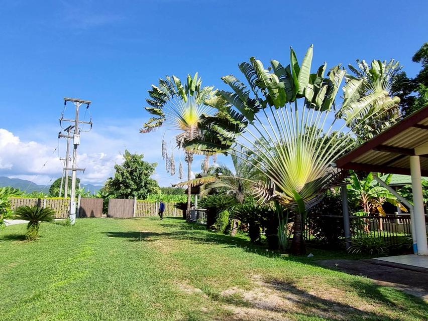 ที่ดินแปลงสวยติดเขื่อนศรีนครินทร์ 11