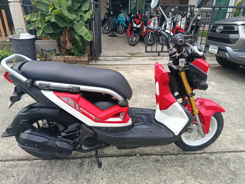 Zoomer -x