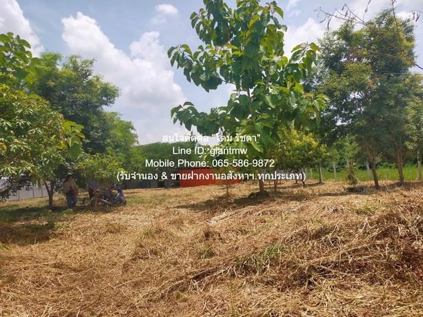 FOR SALE ที่ดิน ขายที่ดินเปล่า 1-0-14.5 ไร่ (414.5 ตร.ว.) ซ.สุวินทวงศ์ ใกล้สนามกอล์ฟฟินิกซ์ โกลด์ กอล์ฟ แบงค็อก 4500000  5
