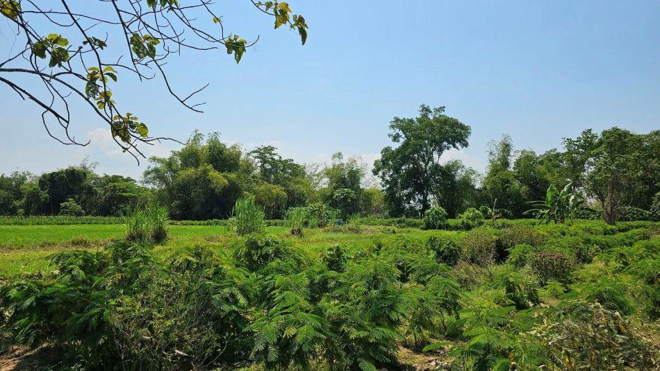 ขายที่ดินสวยระดับนางฟ้า ติดริมแม่น้ำเพชรบุรี