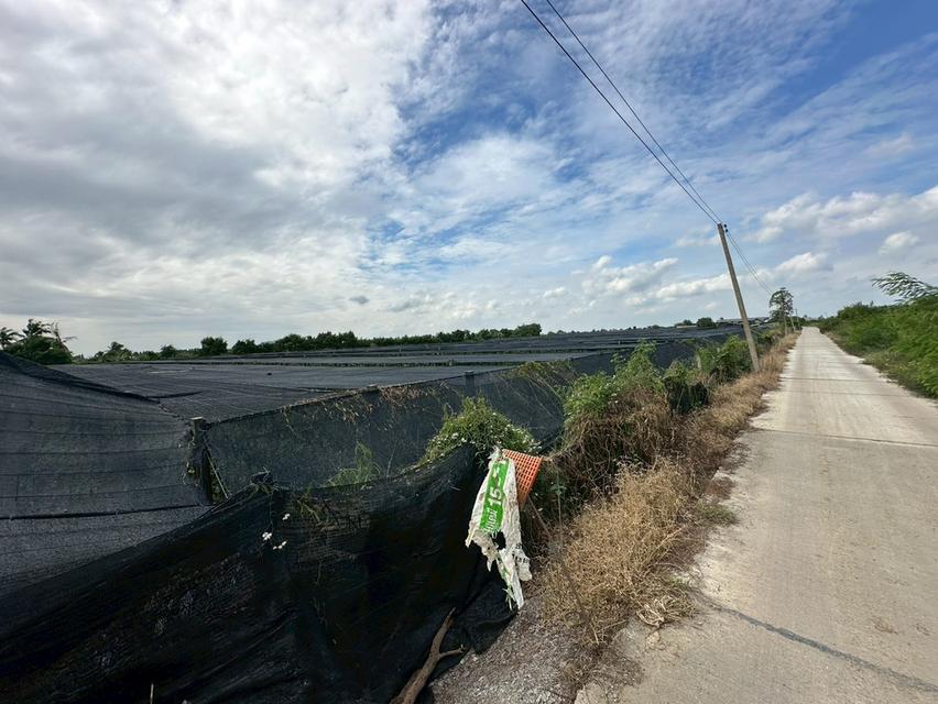 ขายที่ดิน อ.บางเลน เนื้อที่ 45ไร่ 1งาน 176ตร.ว พร้อมสวนกล้วยไม้ 3