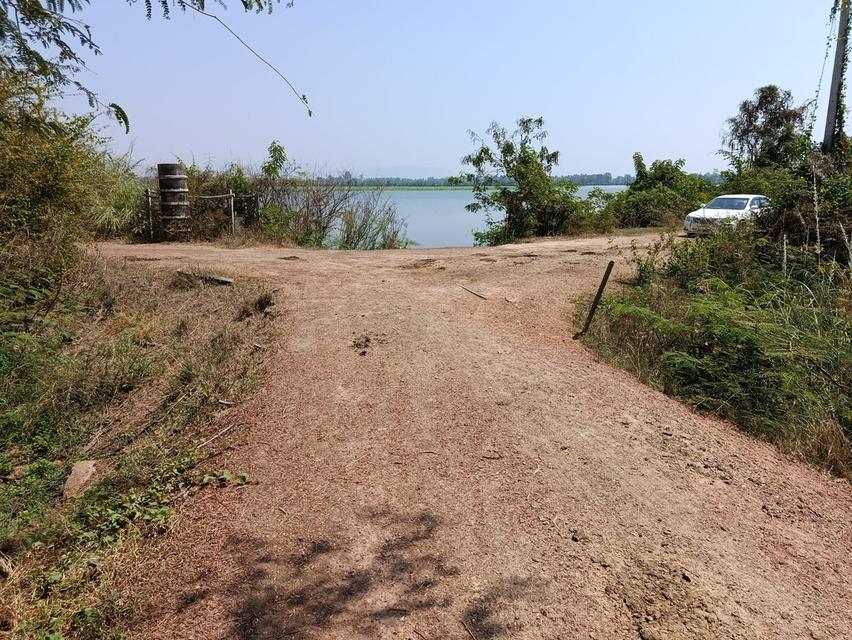 ที่ดิน 12 ไร่ อ.เมือง พิษณุโลก 4