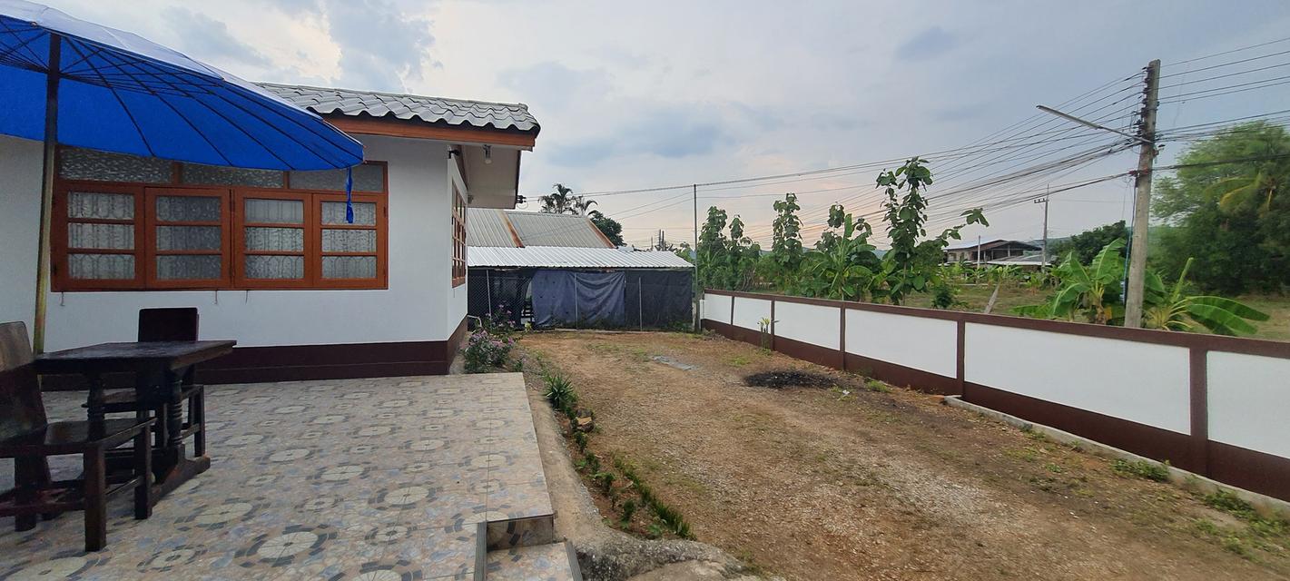 บ้านเดี่ยวหลังใหญ่4น้ำ 3นอน 14
