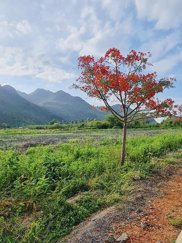 ที่ดินวิวเขา ใกล้ทะเล สามร้อยยอด ประจวบ