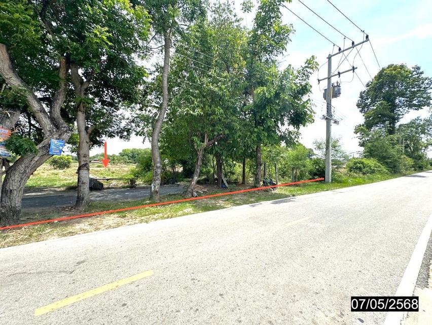 ที่ดินร้อยเอ็ด 8 ไร่กว่า ผืนใหญ่ ทำเลดี ติดถนนสายหลัก 4