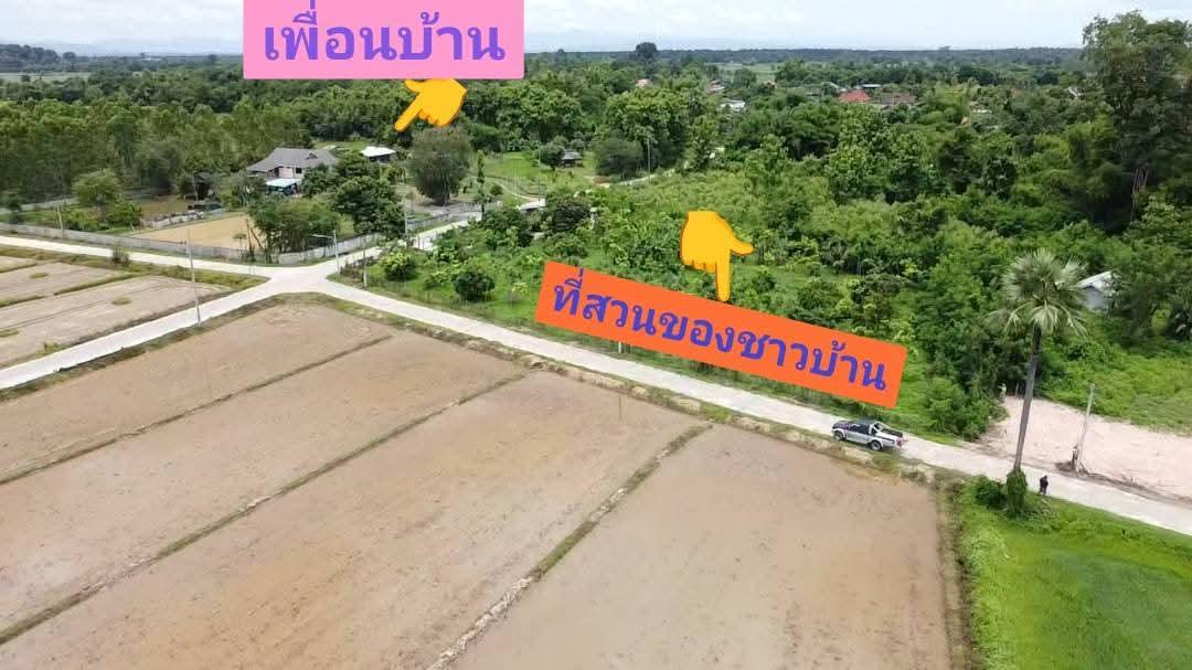 ขายที่ดินเปล่าแบ่งแปลงราคาถูกถมดินแล้ว 7