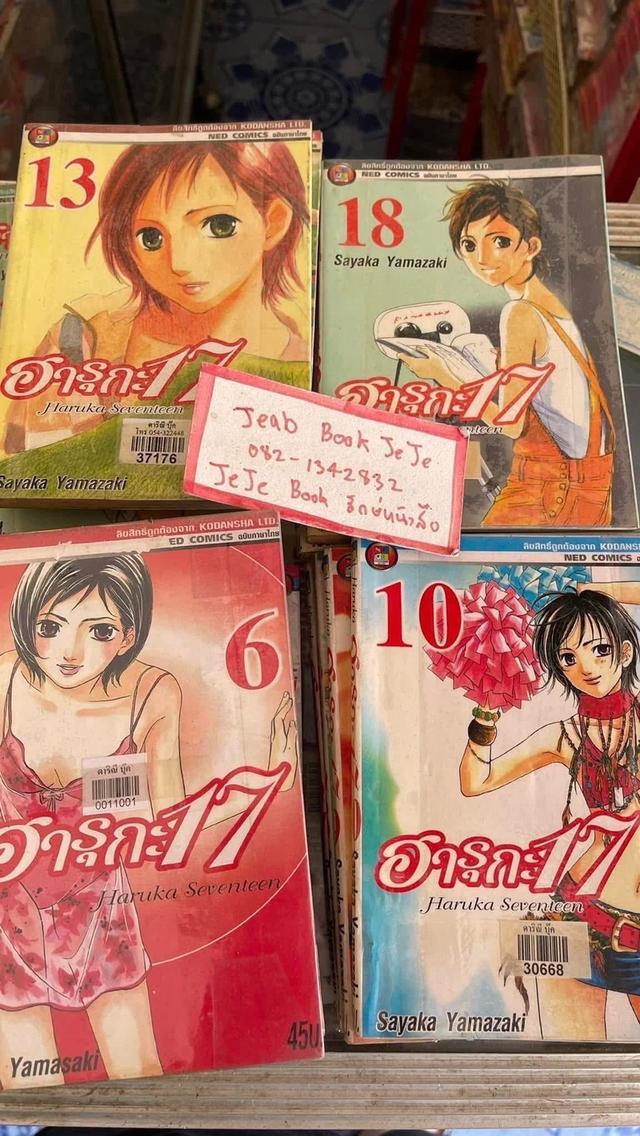 หนังสือการ์ตูน ฮารุกะ 17 1-19 จบ รูปย่อยที่ 2