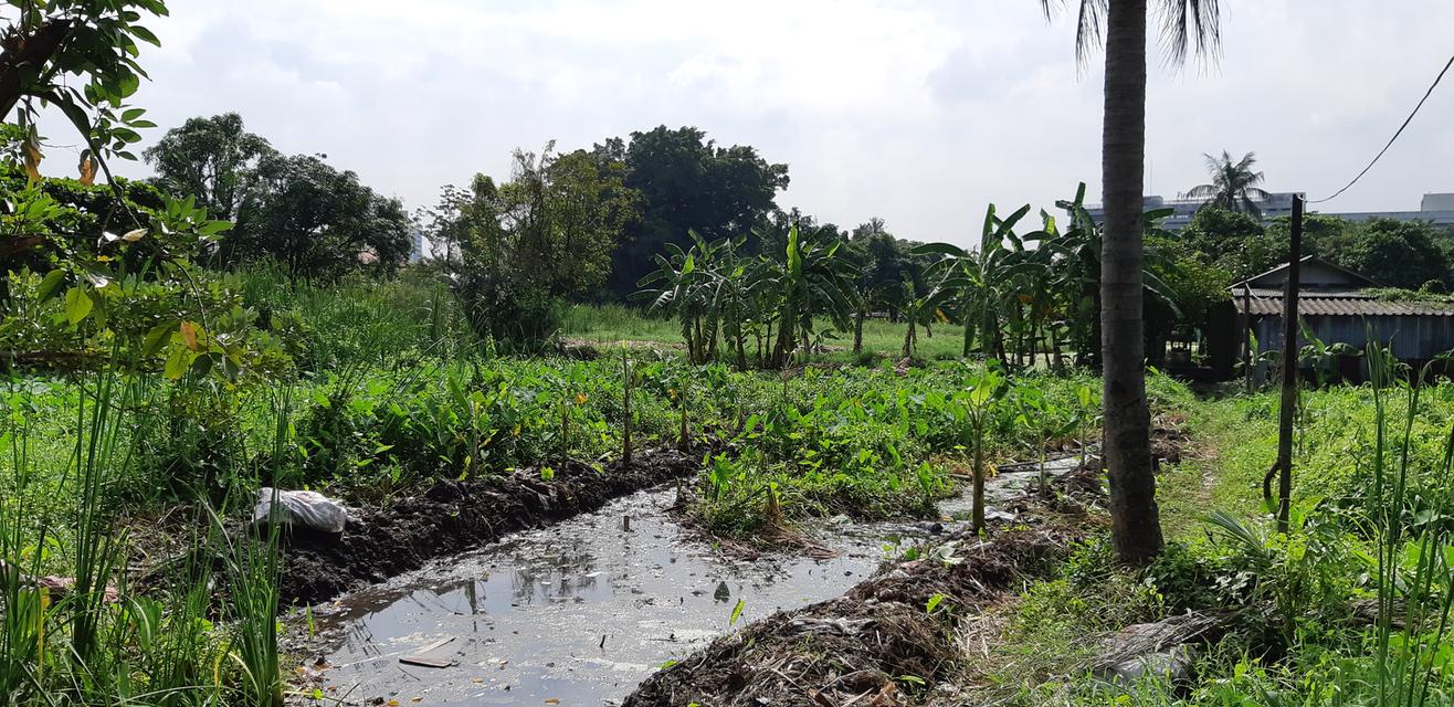 ขายที่ดินจรัญสนิทวงศ์ 23  จำนวน  8 ไร่ 2 งาน 15 ตารางวา 13