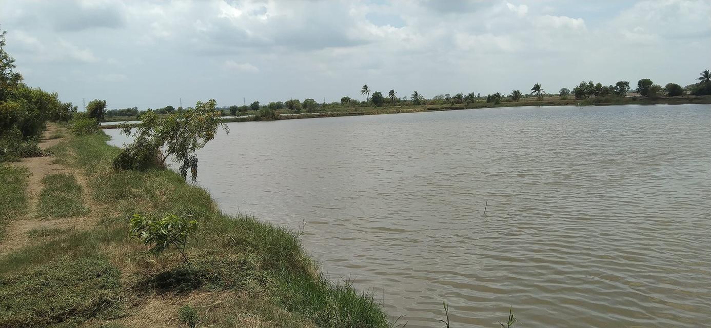 ขายที่ดินโฉนดครุฑแดง 171 ไร่ – พนมสารคาม ฉะเชิงเทรา 7