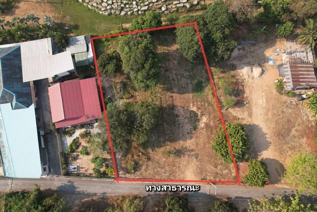 ขายที่ดิน ขนาด 1 ไร่ สี่เหลี่ยมสวยๆ ข้างสวนนงนุชพัทยา นาจอมเทียน สัตหีบ ชลบุรี 3