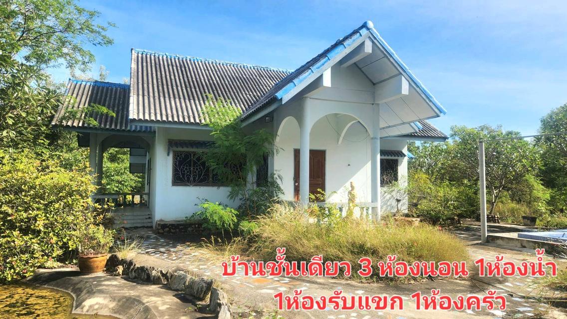 ขายที่สวน มีโฉนด อยู่ใกล้ถนนหลัก อ.ดอนเจดีย์  จ.สุพรรณบุรี 4