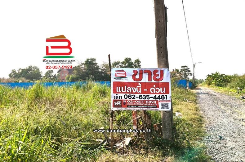 ที่ดินเปล่า เนื้อที่ 396 ตร.ว. หนองจอก-กระทุ่มราย (ซอยสุวินทวงศ์ 51) ถนนสุวินทวงศ์ แขวงกระทุ่มราย เขตหนองจอก(เจียระดับ) 1