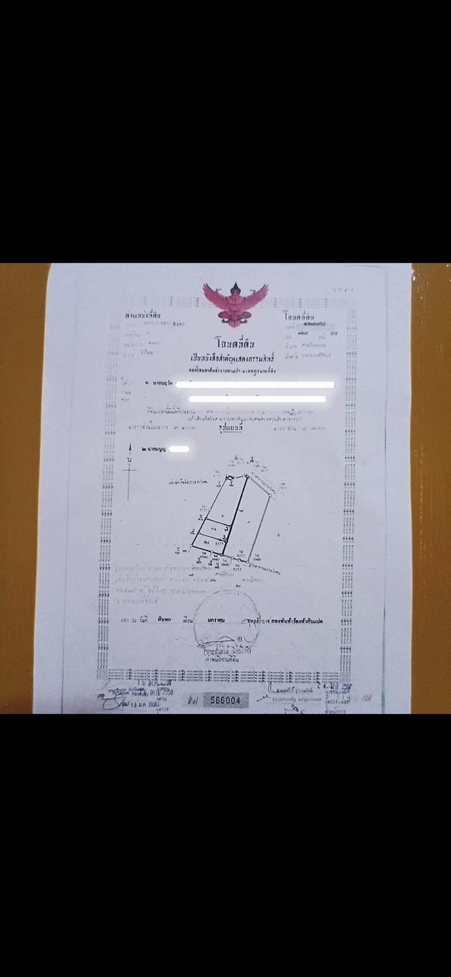 ขายที่ดิน 2 แปลง แปลงละ 45 ไร่ ต.ไร่ใหม่ อ.สามร้อยยอด จ.ประจวบคีรีขันธ์ 11