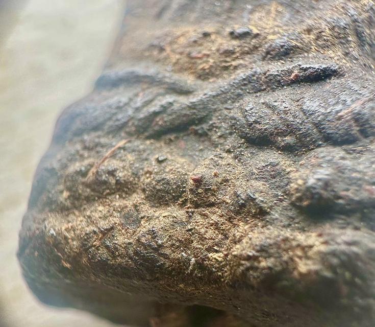 พระหลวงปู่ทวดเนื้อว่าน พิมพ์หลังลายเซ็นต์พระอาจารย์ทิม วัดด่าน จ.ระนอง ปี 2506 สวยๆ ครับ รูปที่ 8