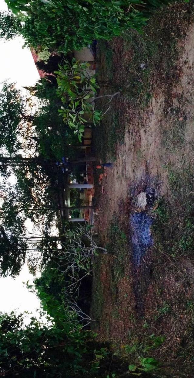 ที่ดินพร้อมบ้าน จังหวัด ลำพูน อำเภอเมือง 2