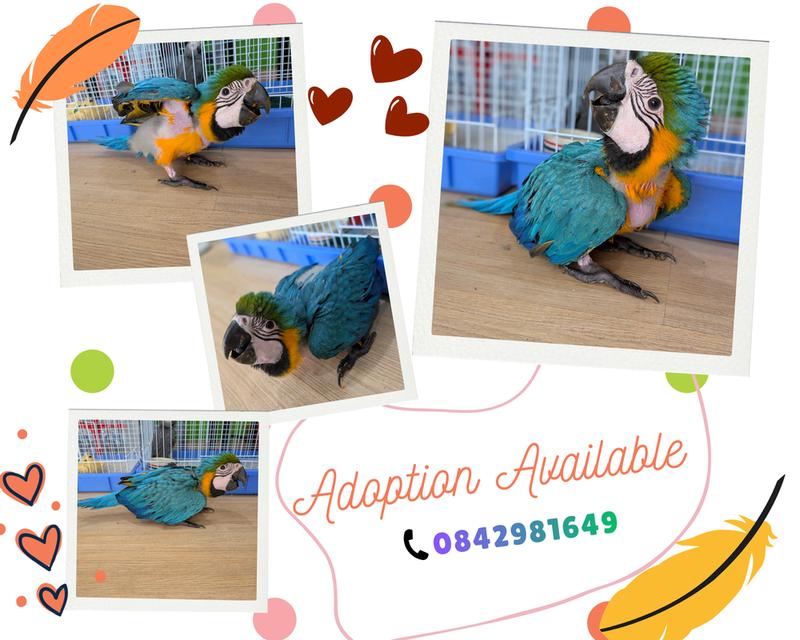 Chirp & Chill Bird Cafe