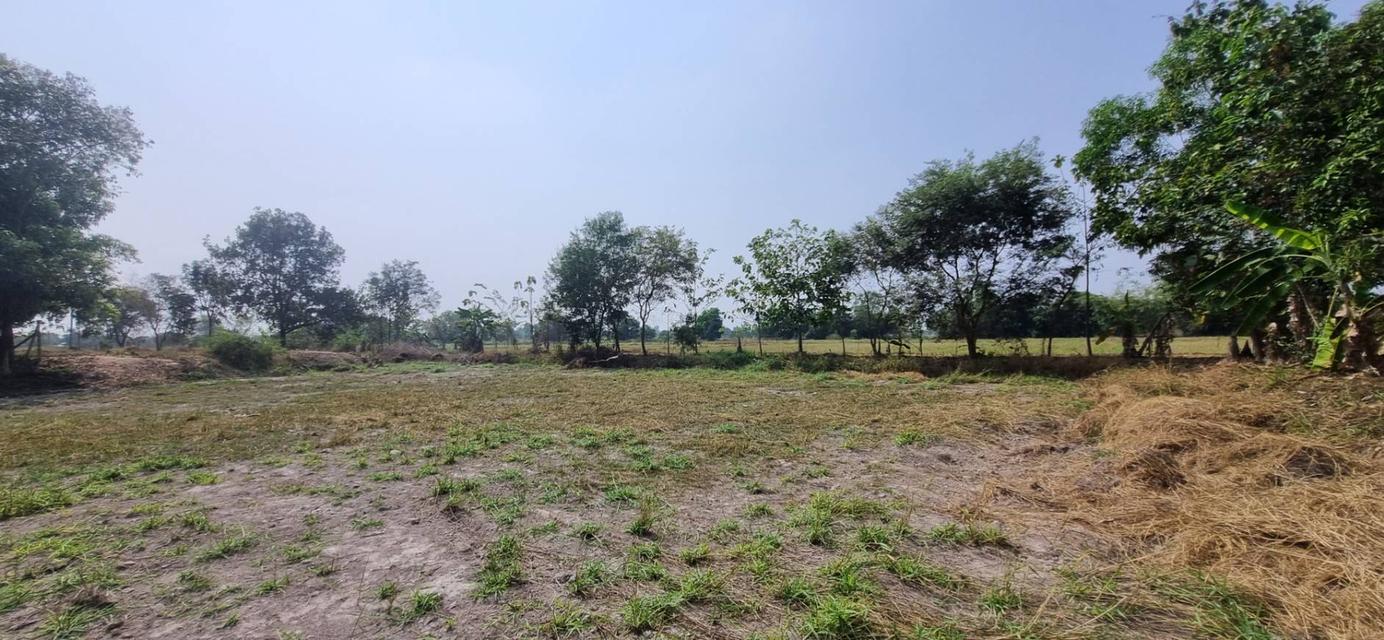 ขายที่ดินเปล่า นครนายก อ.เมือง 1 ไร่ 3 งาน 58 ตร.ว. ทำเลดี ติดคลอง ราคา 1.9 ล้าน 4