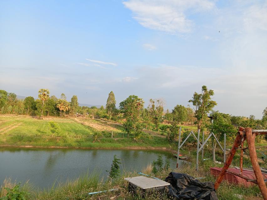 ขายด่วนที่ดินเปล่า21ไร่ ราคา3.9ล้าน ทำเลดีสวยบรรยากาศดีเหมาะทำฟาร์มรีสอร์ท อ.บ้านแท่น จ.ชัยภูมิ สนใจ0844255956 9