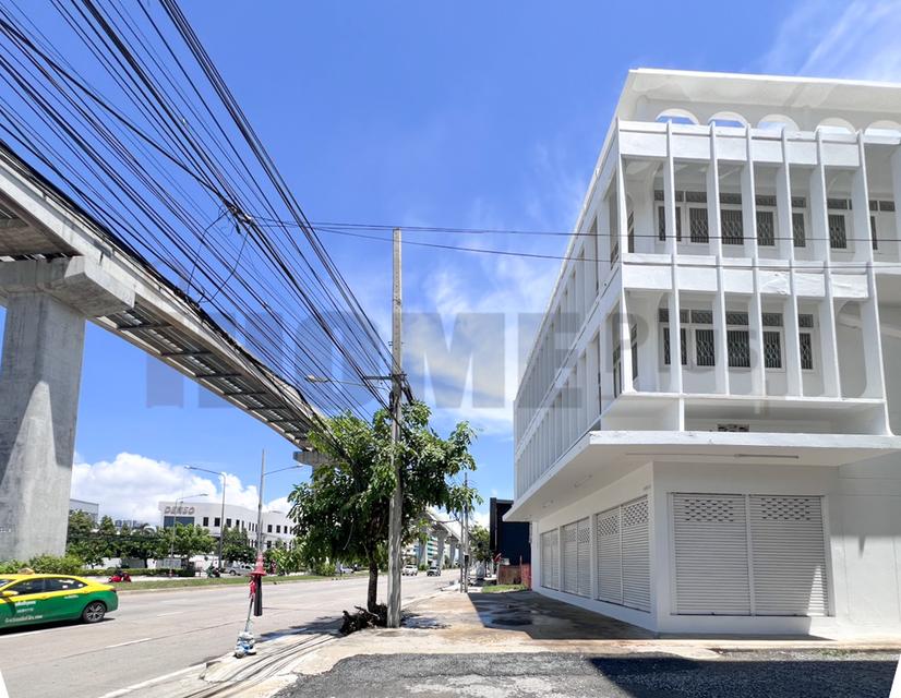เช่าอาคารพาณิชย์ 3.5 ชั้น 3 คูหา มีดาด ฟ้าติดถนนเทพารักษ์แนวรถไฟฟ้าสีเหลือง 2
