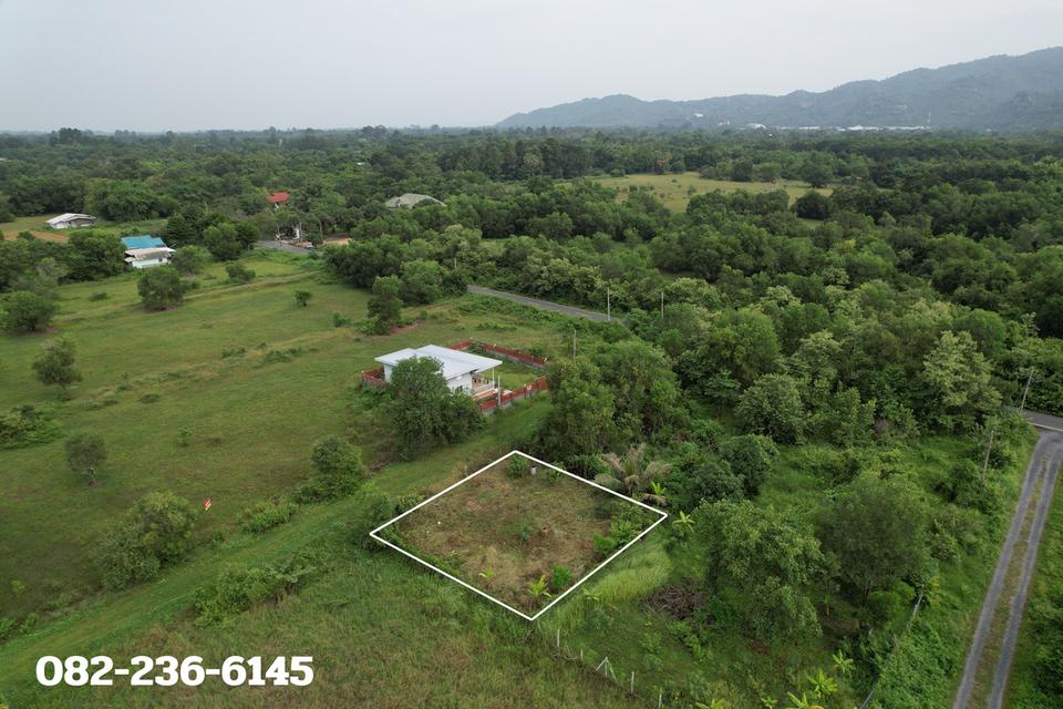 ขายที่ดิน 100 ตร.ว. ถมเต็มพื้นที่ โฉนดครุฑแดง ถนนสาธารณประโยชน์ ต.พรหมณี อ.เมืองนครนายก 6