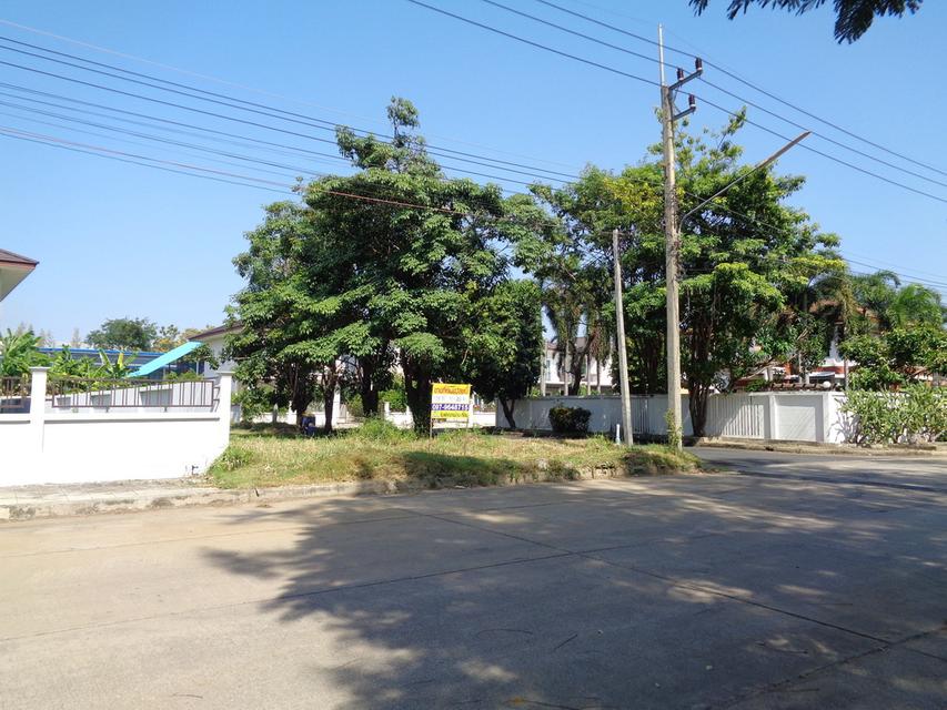 🚩 ขายที่ดินแปลงหัวมุม 129 ตารางวา ราคาถูกสุด❗ ทำเลดี ภายในโครงการหรูมีระดับ 8