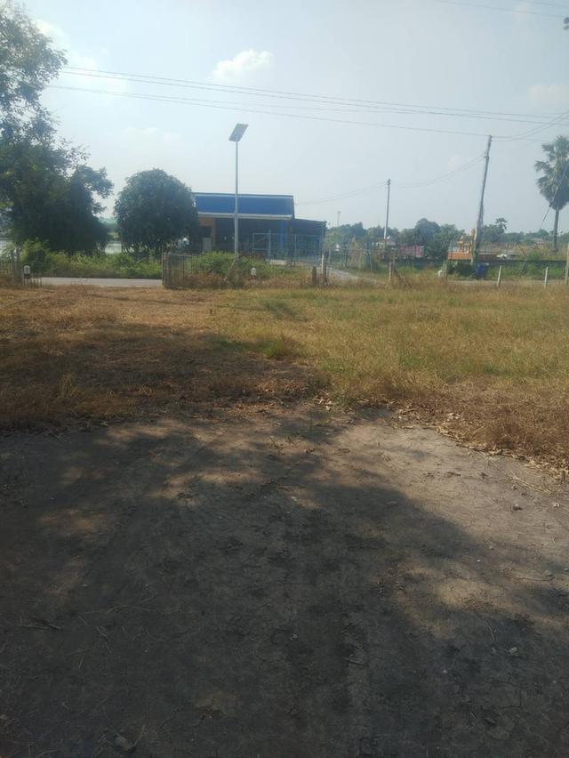 ขายที่ดินสวยติดถนนพร้อมโฉนด 1