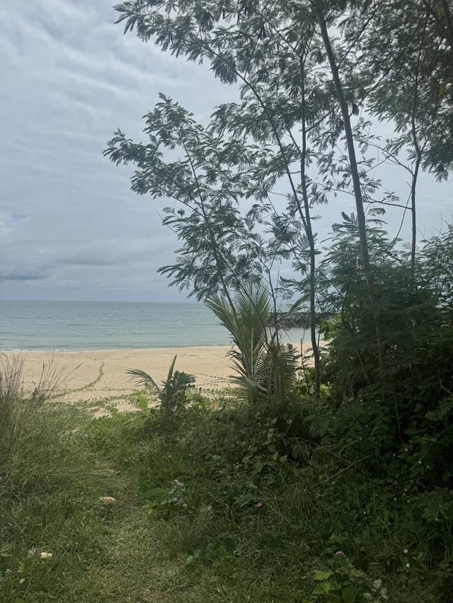 ที่ดินติดชายหาดสวยงาม อำเภอสิชล จังหวัดนครศรีธรรมราช ขนาด 5 ไร่ 266 ตารางวา ราคา ไร่ละ 7 ล้านบาท  ที่ดินผืนงามติดชายหาด  2