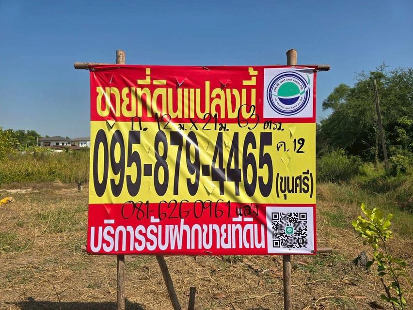 ขายด่วนที่ดิน 63 ตารางวา ) (ติดถนนสาธารณะ ประชา1 แขวงคลอง สิบสอง เขตหนองจอก กทม. 3