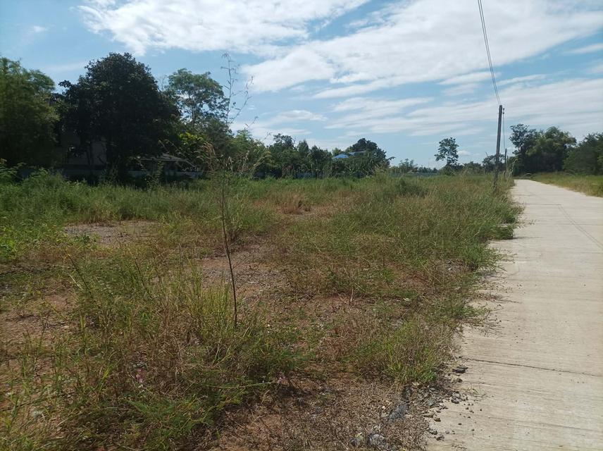 ขายที่ดิน ราคา3,980/ตร.ว. ต.สำราญราษฎร์ อ.ดอยสะเก็ด จ.เชียงใหม่ 2