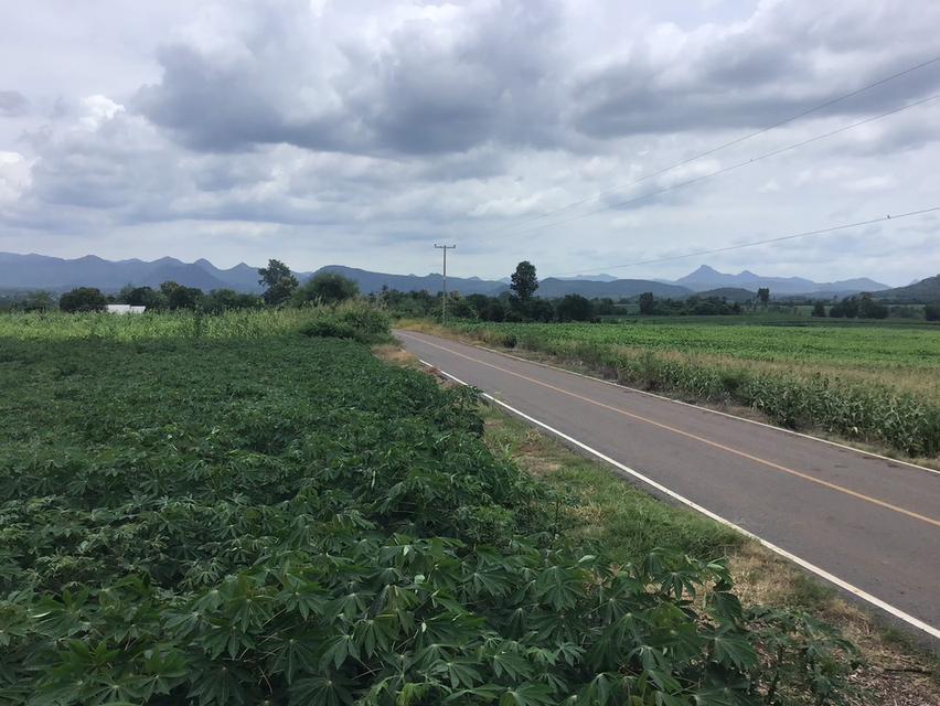 ขายที่ดิน โฉนดครุฑแดง ขนาด 48 ไร่  10