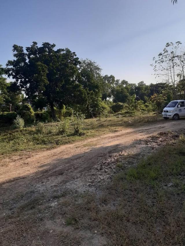 ขายที่ดินจังหวัด นครสวรรค์ ตำบลพนมรอก อำเภอท่าตะโก จำนวน 4 ไร่ 2 งาน 98 ตารางวา ติดถนน ขุดบ่อ มีบ้านพร้อมน้ำไฟ 2.5 ล้านบาท 6