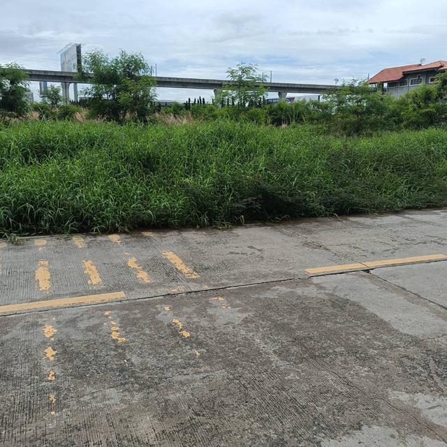 ให้เช่า ที่ดิน เนื้อที่ 5 ไร่ ถนนประชาทร ลาดกระบัง 5