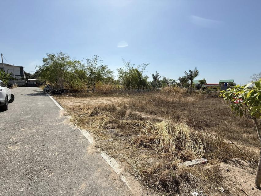 ขายที่ดินหนองปลาไหลถมแล้ว 100 ตรว. ซอยเทพนิมิตร3 ใกล้ถ.กระทิงลาย-ปลวกเกตุ36-4กม. อ.บางละมุง จ.ชลบุรี 5
