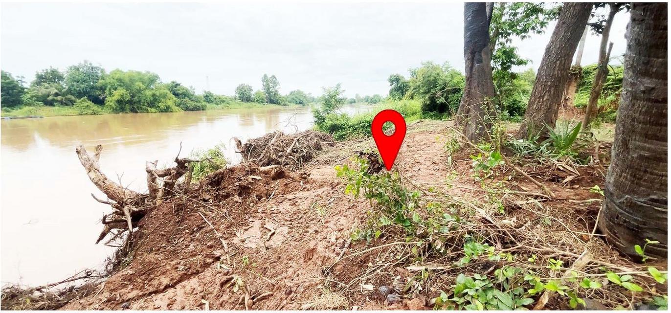 ที่ดินจังหวัดนครสวรรค์ ติดแม่น้ำน่าน 6 ไร่ ราคาต่อรองได้ 1