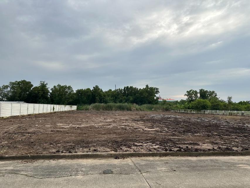 ขายที่ดินเปล่าถมแล้วพร้อมโฉนด 2 แปลงติดกันขนาดแปลงละ 575 ตรว. ติดคลอง ใกล้ถนนใหญ่ ทำเลทอง “เวิลด์คลับแลนด์” คลองสาม ปทุมธานี  4