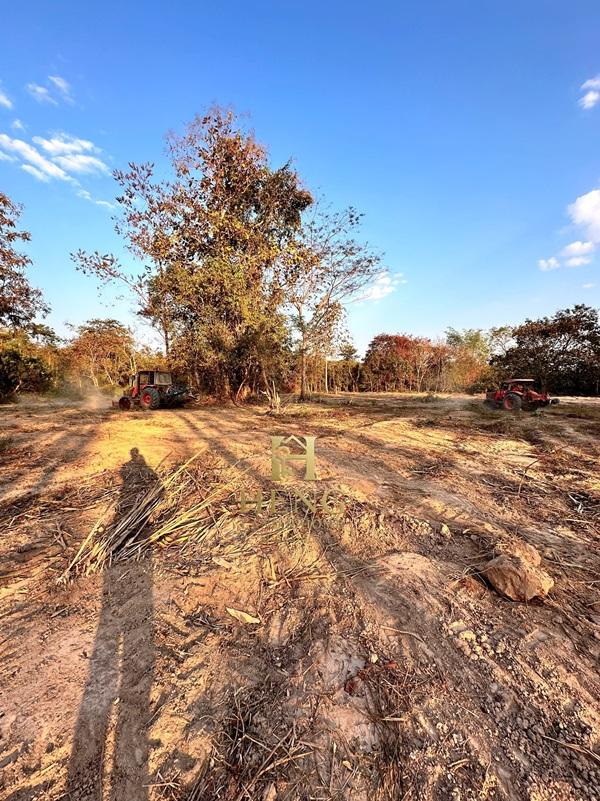 ขายที่ดิน 12 ไร่กว่า ทำเลศักยภาพ ใกล้แหล่งท่องเที่ยว จ.เชียงราย อ.แม่จัน ต.ศรีค้ำ เดินทางสะดวก โทร 081-0321111 8