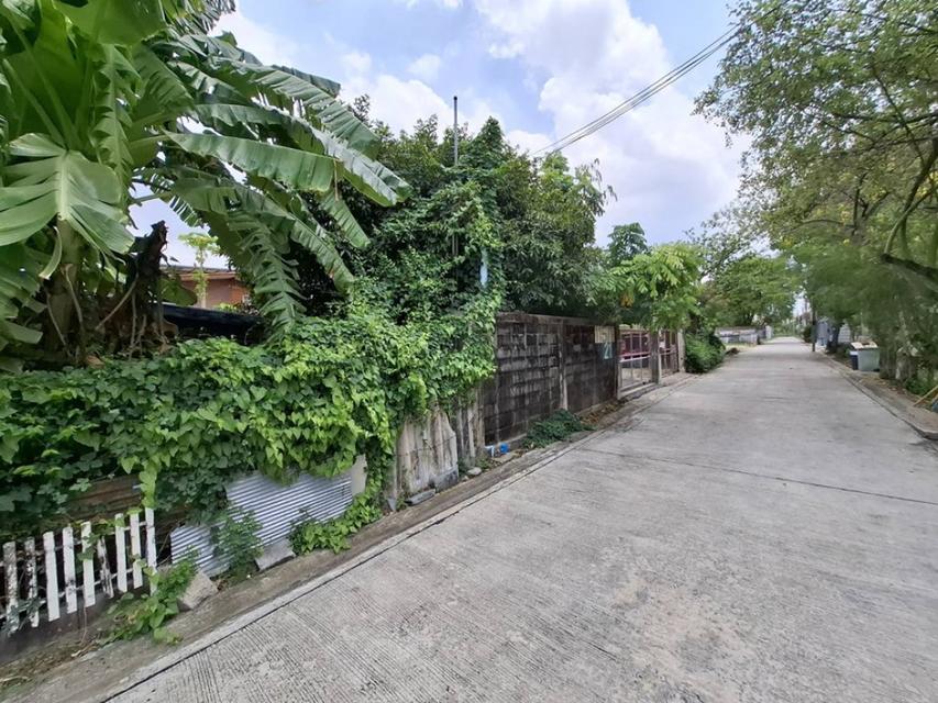 ขาย ที่ดิน รามอินทรา 39 สุขาภิบาล 5 ซอย 6 ขนาด 100 ตร.วา ใกล้รถไฟฟ้ารามอินทรากม4 ตลาดมงคลไชย เหมาะสร้างบ้าน 1