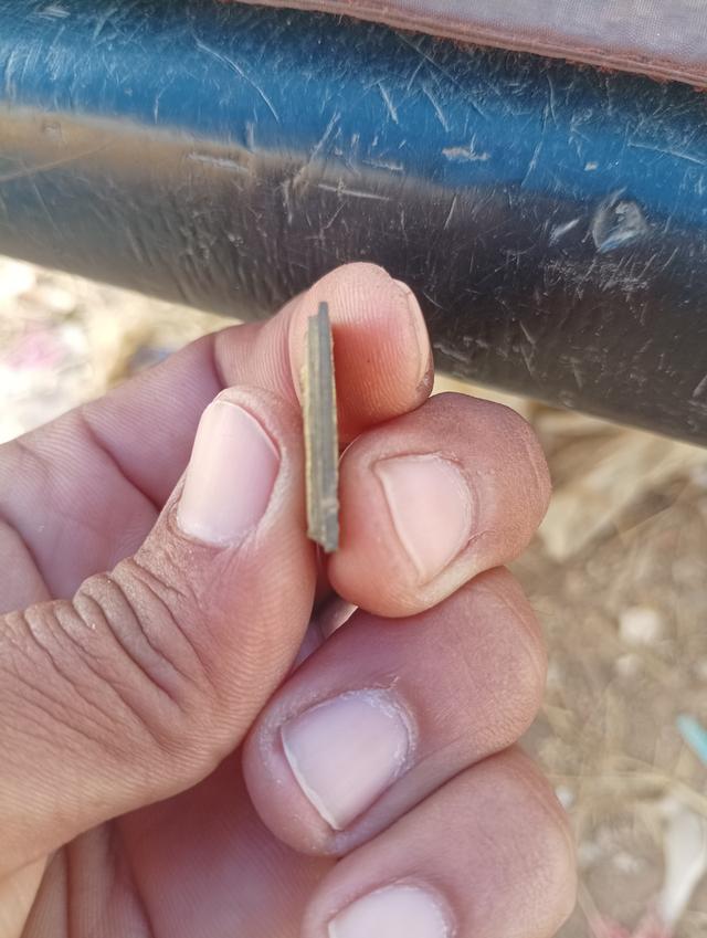 พระปรกโพธิ์ มหาเม่า วัดแหลมยาง จ.พจิตร รูปที่ 5