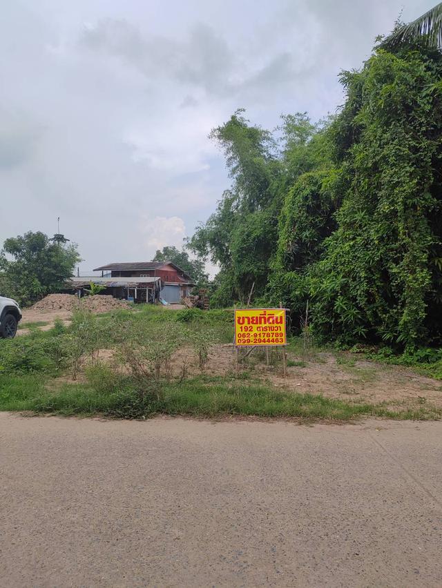 ขายที่ดินเปล่า ติดถนน ทำเลดี อำเภอโพทะเล​ จังหวัดพิจิตร​ 6