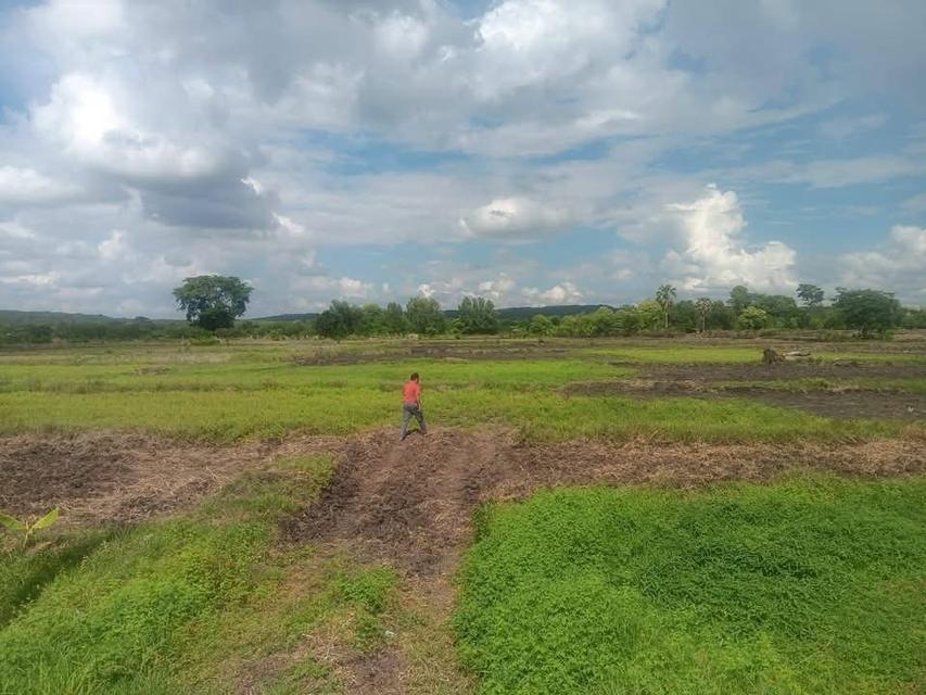 ที่ดิน จังหวัด บุรีรัมย์ อ.นางรอง เจ้าของขายเอง มีโฉนด 3