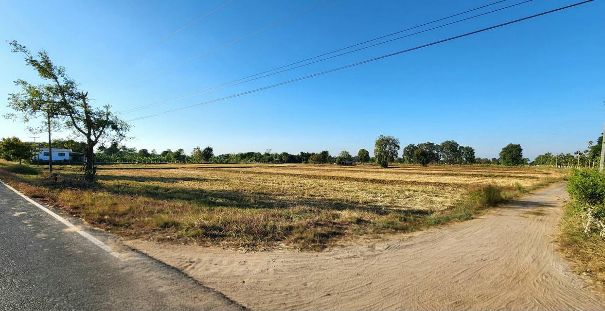 ขายที่ดิน 10 ไร่ อ.ลำปลายมาศ จ.บุรีรัมย์ 6.5 ล้าน 1