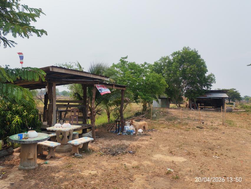 ​🏠 [ประกาศขาย] บ้านสวนโมเดิร์น พร้อมที่ดินผืนใหญ่ 11 ไร่เศษ 🌳 ​สัมผัสชีวิตใกล้ชิดธรรมชาติ บนพื้นที่ส่วนตัวที่ตอบโจทย์ทุกการใช้ชีวิต 🍃 19