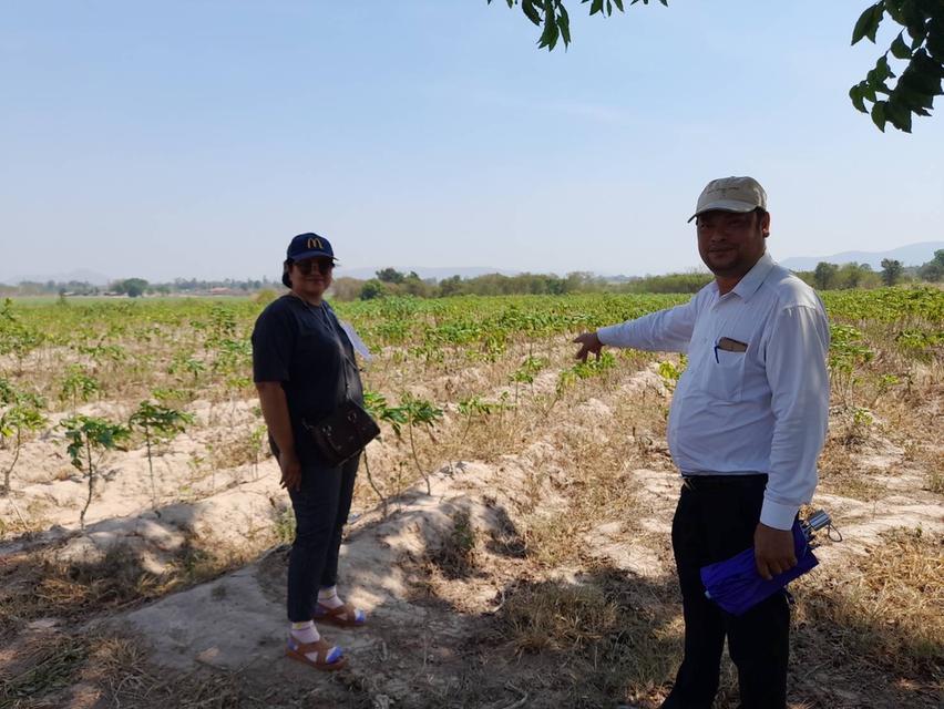 ที่ดินทำการเกษตร เหมาะกับการปลูกพืชไร่ 4