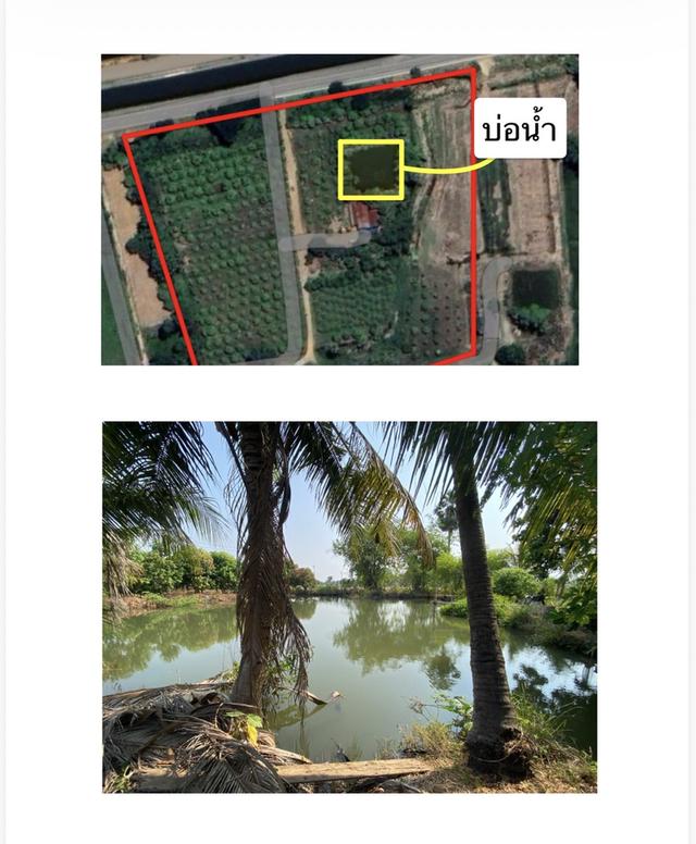 ที่ดินติดถนนใหญ่ ใกล้ มอเตอร์เวย์ M81 7