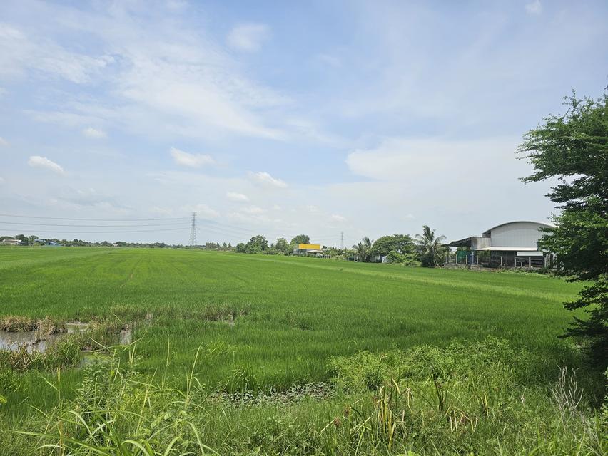 ขายที่ดินจังหวัดนนทบุรี 8