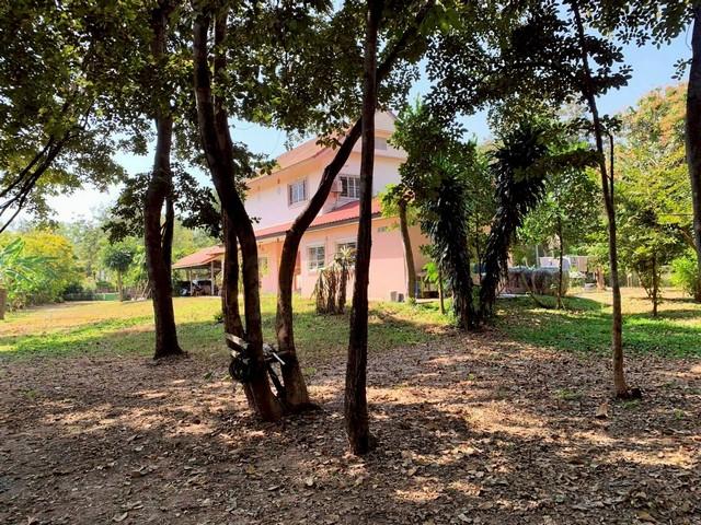 ขายบ้านพร้อมที่ดินขนาดใหญ่ 1 ไร่ 3 งาน 97.9 ตารางวา (รวม 797.9 ตารางวา) ในตำบลจอหอ เมืองนครราชสีมา 8