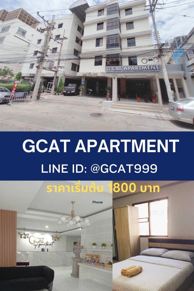 (G Cat อพาร์ทเม้นท์) 2